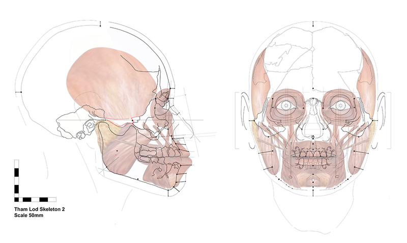 Image: Hayes et al